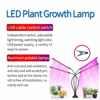Taimede kasvu Kerge Goodland Phytolamp LED Grow Light Füto Lamp Taimed Taimede Lamp Seemikud Lill Fitolamp Kasvada Telk