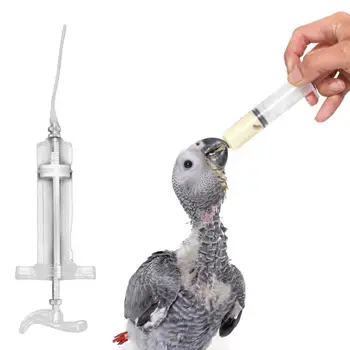 1 Komplekt Vastupidav, Lihtne puhastada Hubane Hoida Papagoid Lindude Toitmine Süstal lemmikloomatarbed Baby Bird Feeder Baby Bird Feeder