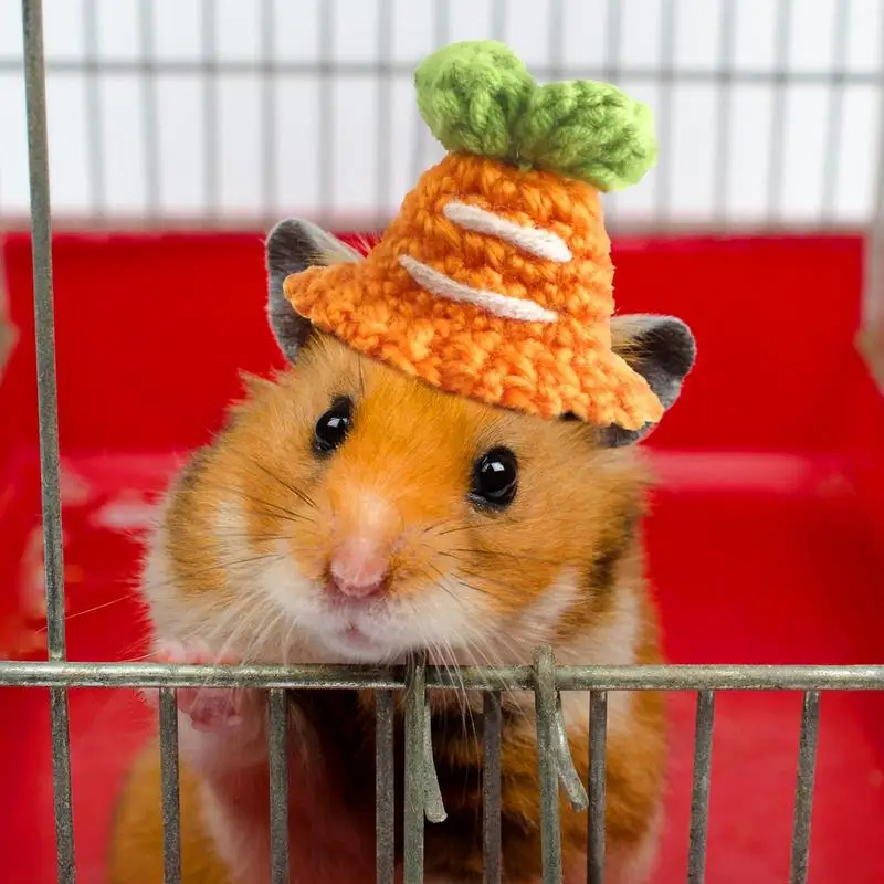 Mini Hamster Müts 10tk Armas Sisalik Müts Reguleeritav Rihm merisiga Jõulud Müts Käsitsi Kootud Väike Mütsi Eest Habemega Draakon - 3